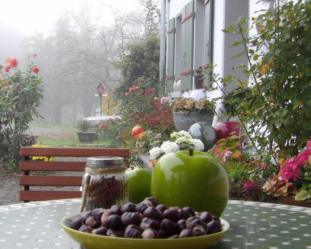 Landgut Apfelrose Hotel Friedrichshafen Luaran gambar